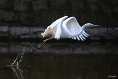 take off 