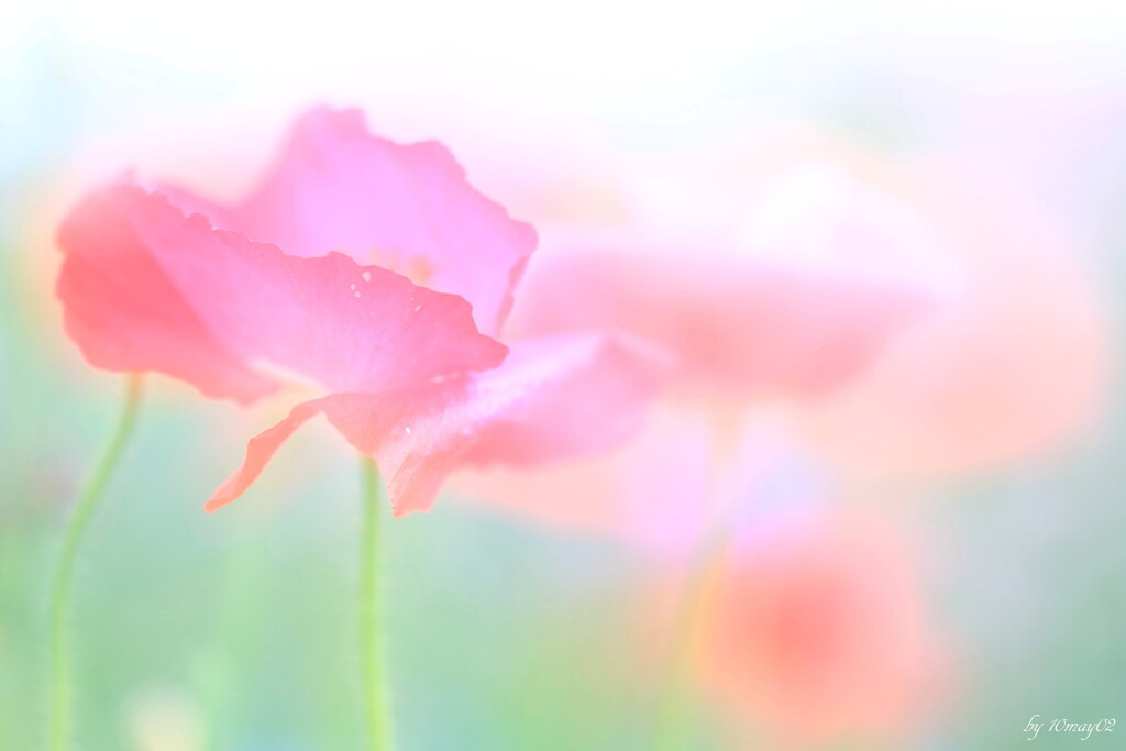 夏の予感