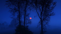 朝霧の彼方に