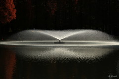 水音