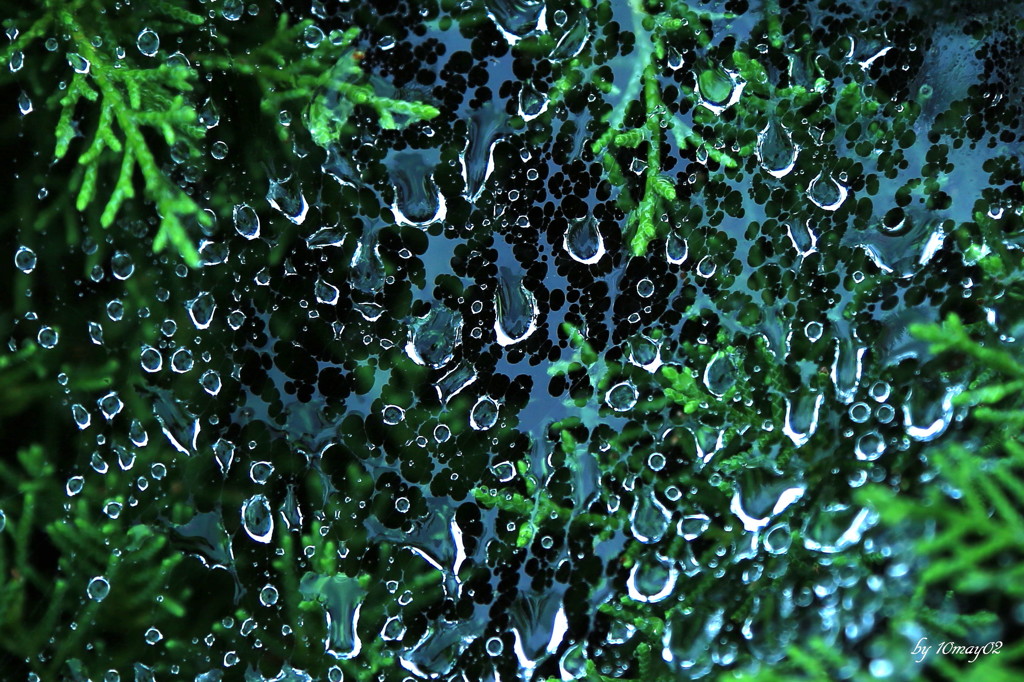 雨模様