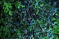 雨模様
