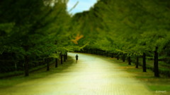 Runner