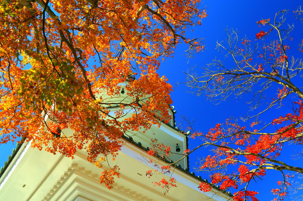 紅葉　～奥武蔵・玄奘三蔵塔～