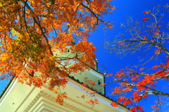 紅葉　～奥武蔵・玄奘三蔵塔～