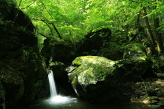 水の音