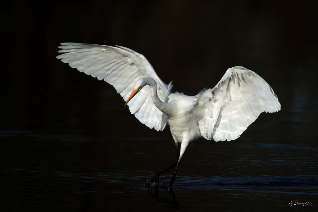 Landing