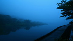 木道
