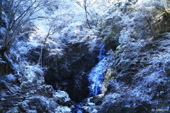 厳冬