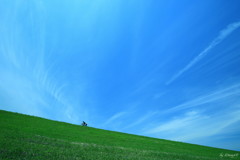 蒼空