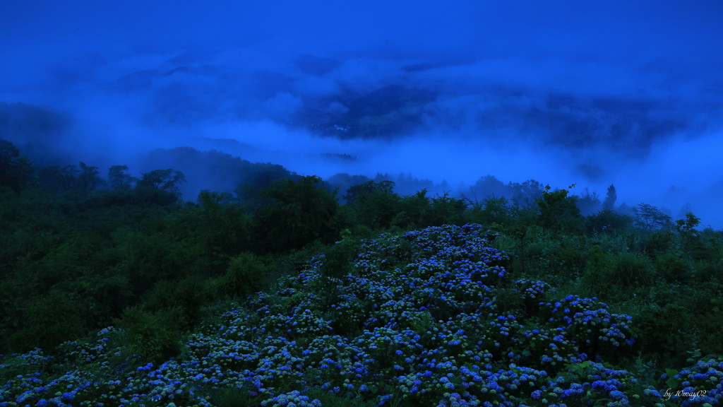 雨あがり