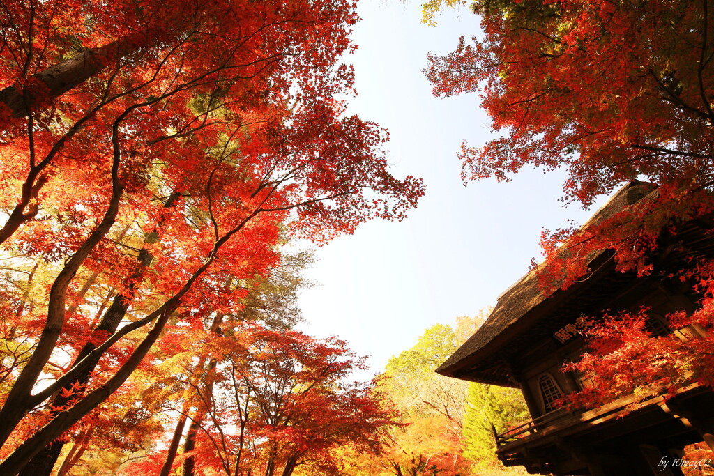 平林寺３