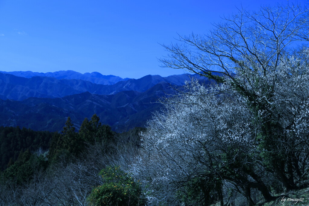 峠