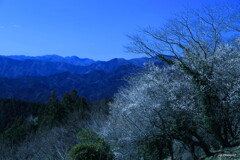 峠