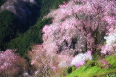 龍珠院