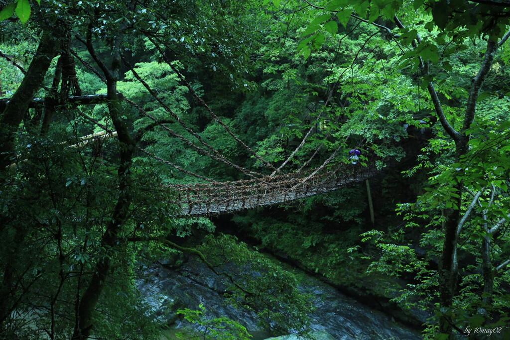 旅HITO　～かずら橋～