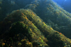 秋化粧