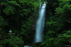 落水