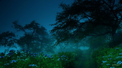 霧雨