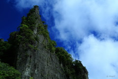 空を刺す