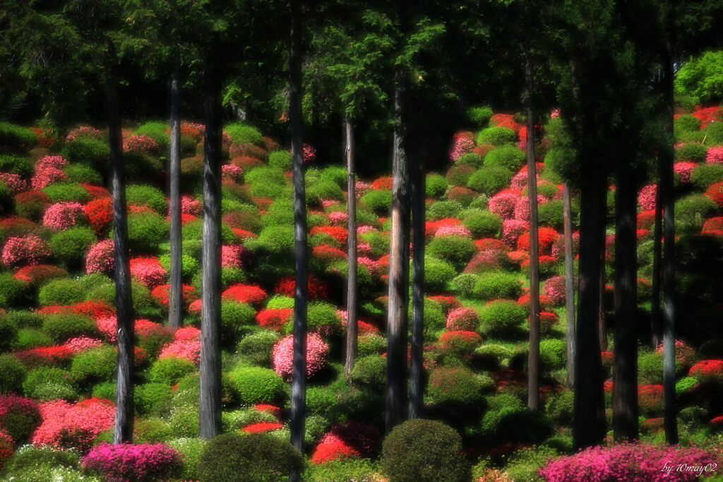 七国山薬王寺