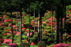 七国山薬王寺