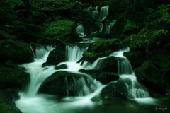 苔むす渓流