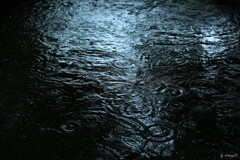 雨音