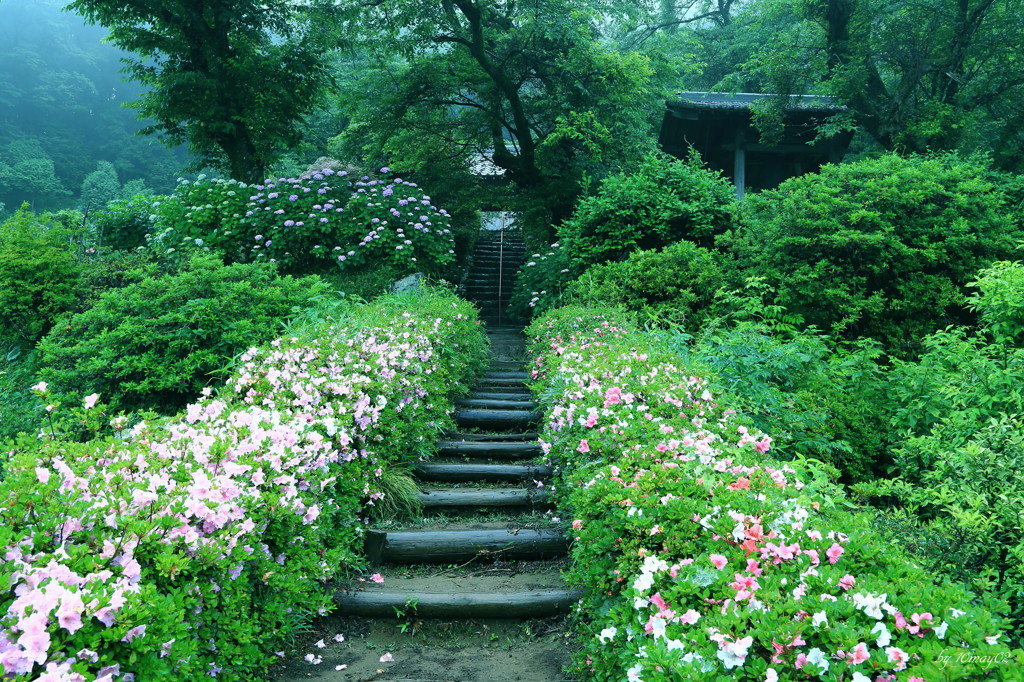 雨の古刹