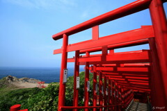 旅HITO　～元乃隅稲荷神社２～