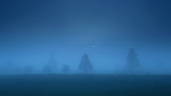 霧の音