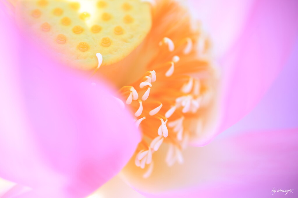 gradation