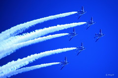 蒼空のショー