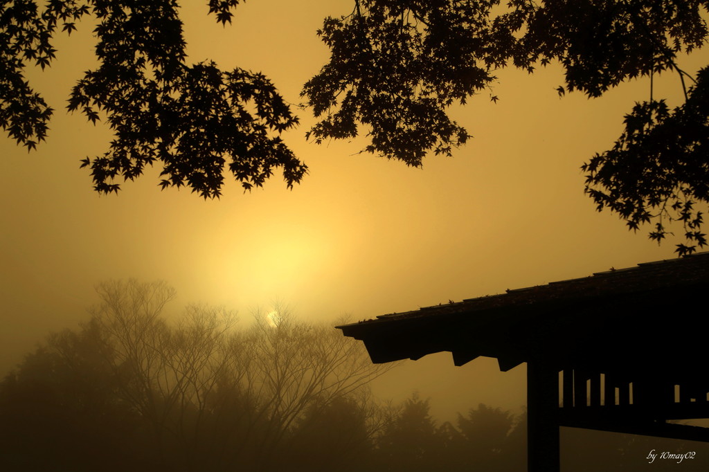 夕霧