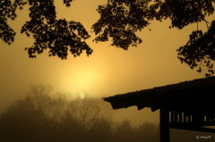 夕霧