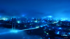 ブルーライト