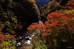 中津峡