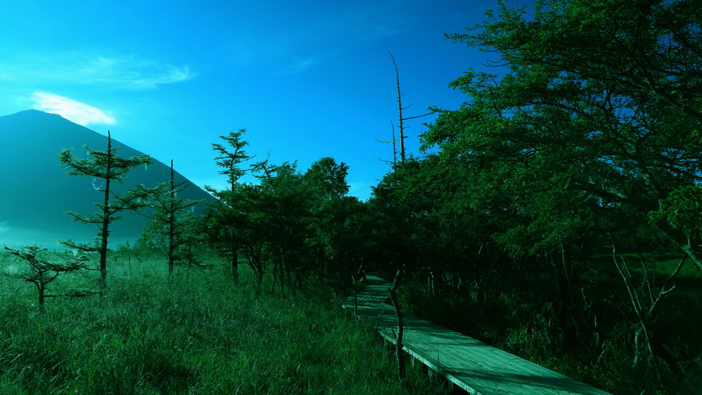 朝靄のステージ２