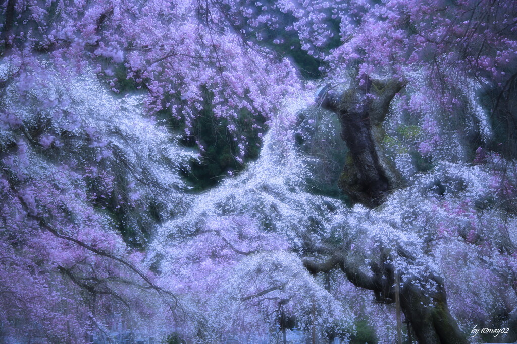 青雲寺２