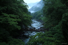旅HITO　～祖谷渓～