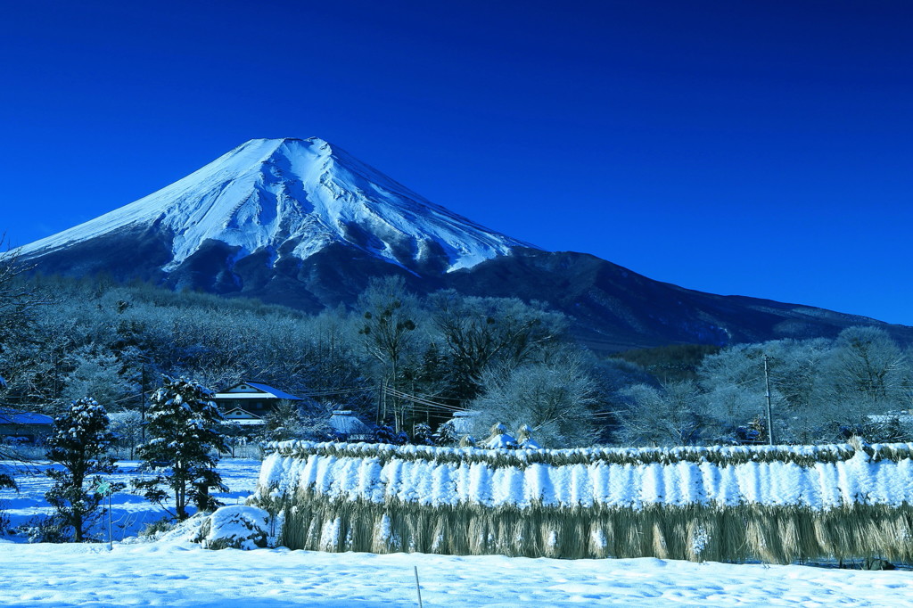 冴ゆ富士　～忍野村～