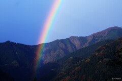 虹の橋