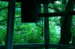 梅雨に響