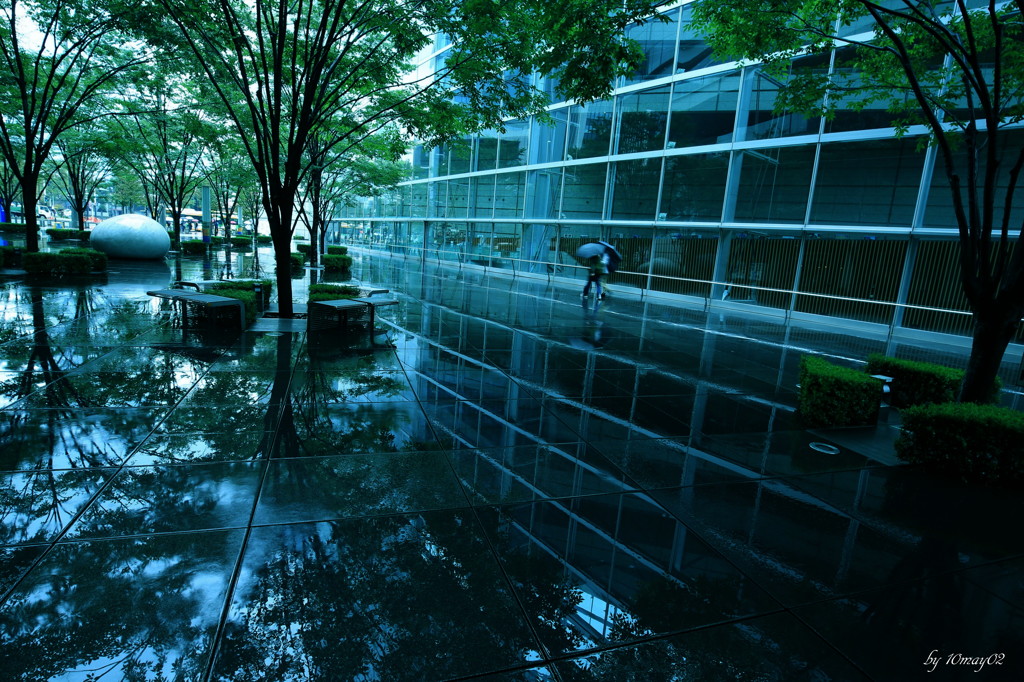秋雨