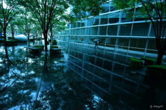 秋雨