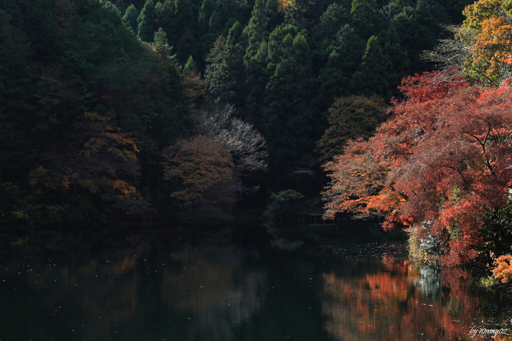 朱響く