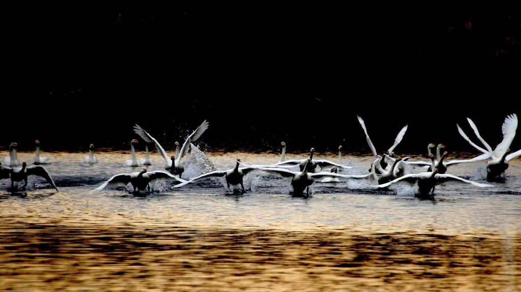 takeoff！