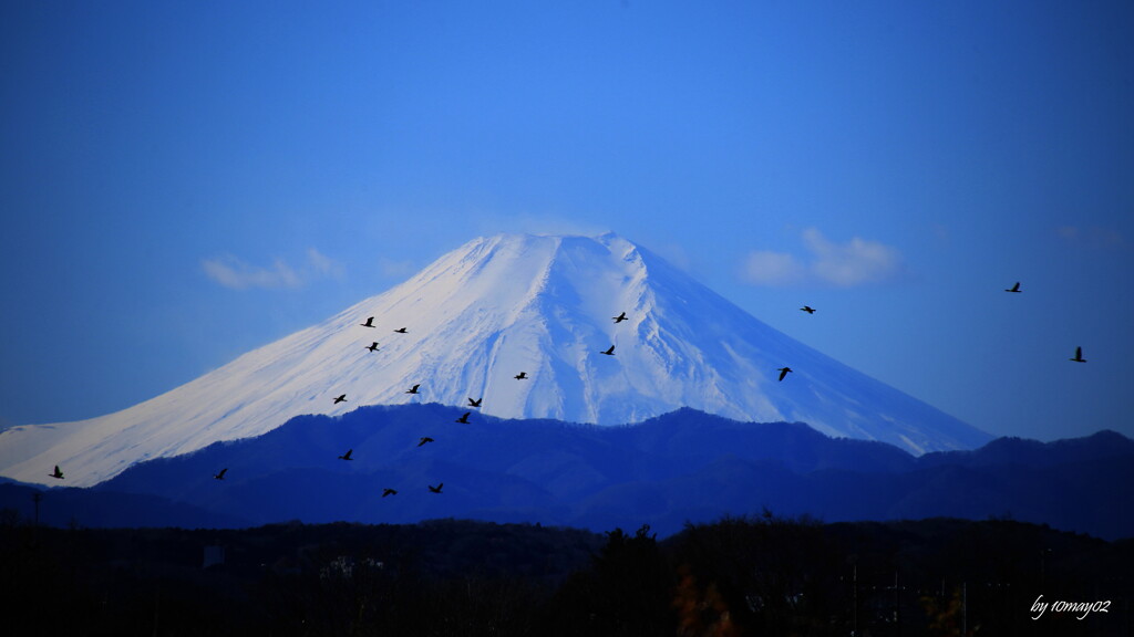 富士遠望