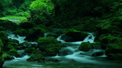 麗流