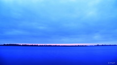 蒼朝